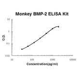 Monkey primate BMP-2 EZ-Set™ ELISA Kit (DIY Antibody Pairs) Boster Bio