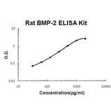 Rat BMP-2 EZ-Set™ ELISA Kit (DIY Antibody Pairs) Boster Bio