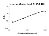 Human Galectin-1 ELISA Kit EZ-Set™ (DIY Antibody Pairs) Boster Bio
