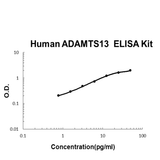 Human ADAMTS13 ELISA Kit EZ-Set™ (DIY Antibody Pairs) Boster Bio
