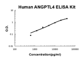 Human ANGPTL4/Angiopoietin Like 4/ARP4 EZ-Set™ ELISA Kit (DIY Antibody Pairs) Boster Bio