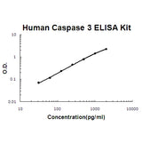 Human Caspase 3/CASP3 EZ-Set™ ELISA Kit (DIY Antibody Pairs) Boster Bio