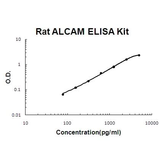 Rat ALCAM/CD166 EZ-Set™ ELISA Kit (DIY Antibody Pairs) Boster Bio