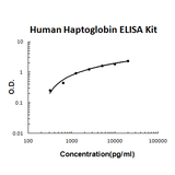 Human Haptoglobin EZ-Set™ ELISA Kit (DIY Antibody Pairs) Boster Bio