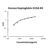 Human Haptoglobin EZ-Set™ ELISA Kit (DIY Antibody Pairs) Boster Bio