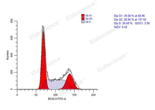 Cell Cycle Assay Kit (Green Fluorescence) - ABMIUM