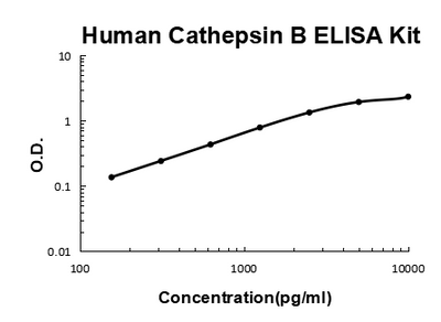 Human Cathepsin B PicoKine® Quick ELISA Kit Boster Bio