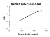 Human TNFRSF7/CD27 PicoKine® Quick ELISA Kit Boster Bio