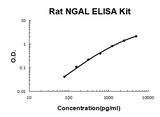 Rat Lipocalin-2/NGAL PicoKine® Quick ELISA Kit Boster Bio