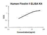 Human Ficolin-1/FCN1/M Ficolin PicoKine® Quick ELISA Kit Boster Bio