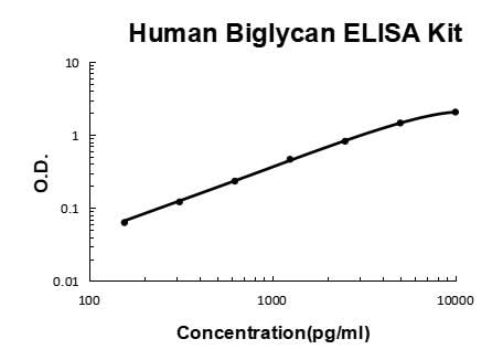 Human Biglycan PicoKine® Quick ELISA Kit Boster Bio