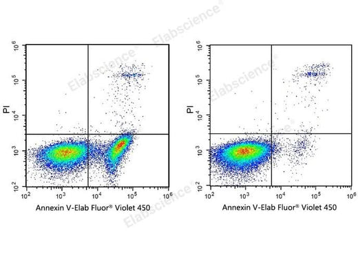 Annexin V-Elab Fluor® Violet 450/PI Apoptosis Kit - ABMIUM