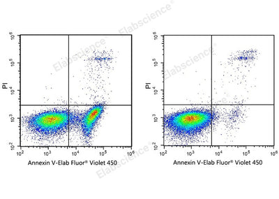 Annexin V-Elab Fluor® Violet 450/PI Apoptosis Kit - ABMIUM