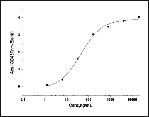 Measured by its binding ability in a functional ELISA. Immobilized human CD48 at 10 μg/ml (100 μl/well) can bind recombinant human 2B4 / CD244 with a linear range of 0.004-0.4 μg/ml.