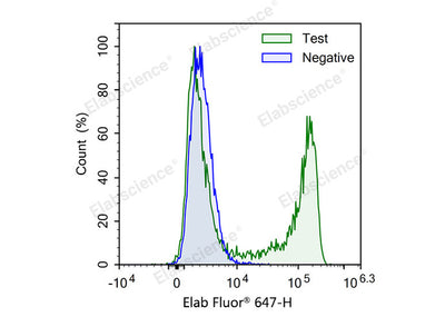 Test: Jurkat cells were treated with 10 μM EdU for 4 hours. Negative: Jurkat cells without EdU.