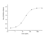 Measured by its binding ability in a functional ELISA. Immobilized human ACE2 protein (His tag) at 2μg/mL (100μL/well) can bind SARS-CoV Spike/RBD Protein (RBD, mFc Tag) (40150-V05H), the EC<sub>50</sub> of SARS-CoV Spike/RBD Protein (RBD, mFc Tag) is 9-40 ng/mL.