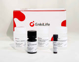 Polymer-HRP Anti-Mouse/Rabbit IHC Detection System(DAB solution) - ABMIUM