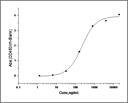 Measured by its binding ability in a functional ELISA. Immobilized recombinant human Angiopoietin-2 at 10 μg/ml (100 μl/well) can bind Human Tie2 / CD202b Protein (ECD, His & Fc Tag) with a range of 0.2-20 μg/ml.
