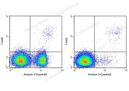 Annexin V-Cyanine5/7-AAD Apoptosis Kit - ABMIUM