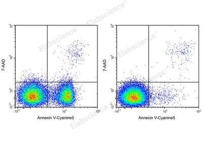 Annexin V-Cyanine5/7-AAD Apoptosis Kit - ABMIUM