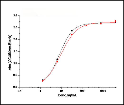 Measured by its binding ability in a functional ELISA. 1. Immobilized mouse EphA2 at 2 μg/ml (100 μl/well) can bind mouse EphrinA1 with a linear range of 0.16-20 ng/ml. 2. Immobilized mouse EphA2 at 2 μg/ml (100 μl/well) can bind human EphrinA1 with a linear range of 0.8-20 ng/ml.