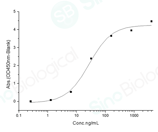 Measured by its binding ability in a functional ELISA. Immobilized human ACE2 protein (Fc tag)(Cat: PKSH031870) at 2 μg/mL (100 μL/well) can bind SARS-CoV-2 (2019-nCoV) Spike RBD(K417N, E484K, N501Y)-His (Cat: PKSV030368), the EC<sub>50</sub> of SARS-CoV-2 (2019-nCoV) Spike RBD(K417N, E484K, N501Y)-His (Cat: PKSV030368) is 5-40 ng/mL.