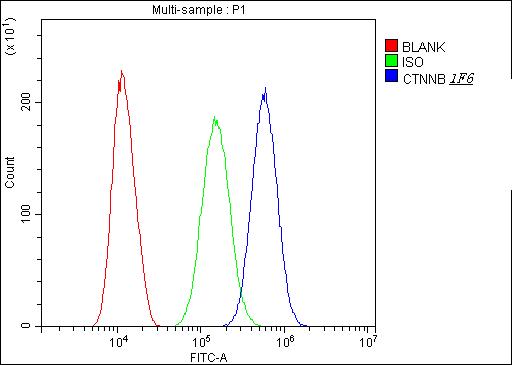 Anti-beta Catenin CTNNB1 Antibody Picoband® (monoclonal, 1F6 Boster Bio
