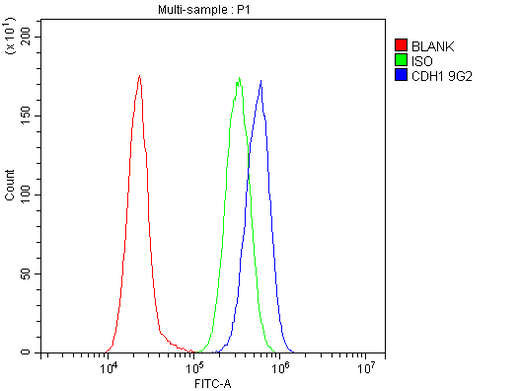 Anti-E Cadherin 1 CDH1 Antibody Picoband® (monoclonal, 9G2 Boster Bio