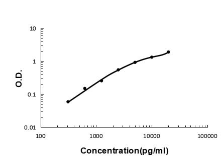 Anti-Cystatin C/CST3 Antibody (monoclonal, 8H7 Boster Bio