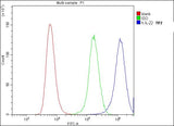 Anti-IL22 Antibody Picoband® (monoclonal, 7F2 Boster Bio