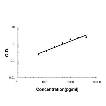 Anti-IL32 Antibody (monoclonal, 2I2 Boster Bio