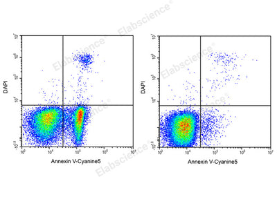 Annexin V-Cyanine5/DAPI Apoptosis Kit - ABMIUM