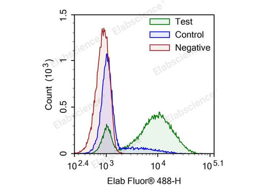 Camptothecin-induced apoptosis in HL-60 cells. Test: HL-60 cells were treated with 2.5 μM Camptothecin for 4h. Control: Normal HL-60 cells were not treated with drugs. Negative: HL-60 cells were treated with 2.5 μM camptothecin for 4h without TdT enzyme.