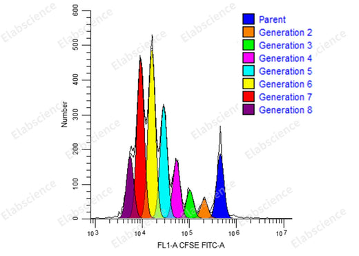 The mouse bone marrow-derived dendritic cells cultured in vitro were matured by LPS, and co-cultured withthe spleen of 4T1 tumor-bearing mice (E-CK-A345 staining). After co-staining with Elab Fluor<sup>®</sup> Red 780Anti-Mouse CD8a Antibody (E-AB-F1104S) and APC Anti-Mouse CD4 (E-AB-F1097E), detect theproliferation of CD8+T cells.