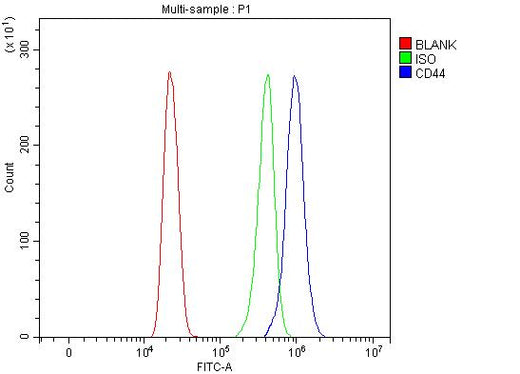 Anti-CD44 antigen CD44 Antibody Picoband® Boster Bio