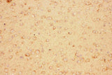 Anti-CNTF Antibody Picoband® Boster Bio