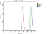 Anti-Carbonic Anhydrase I/CA1 Antibody Picoband® Boster Bio
