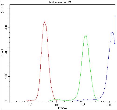 Anti-CCT3 Antibody Picoband® Boster Bio