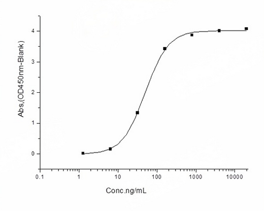 Immobilized human ACE2 protein (Fc tag) (Cat: PKSH031870) at 2 μg/mL (100 μL/well) can bind SARS-CoV-2/2019-nCoV Spike Protein (RBD, His Tag) (Cat: PKSR030499), the EC<sub>50</sub> of SARS-CoV-2/2019-nCoV Spike Protein (RBD, His Tag) (Cat: PKSR030499) is 30-60 ng/mL.