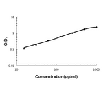Anti-Interleukin-13 IL13 Antibody Boster Bio