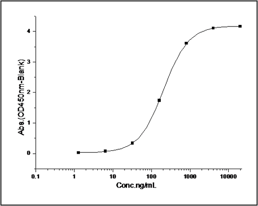 Measured by its binding ability in a functional ELISA. Immobilized Rat CD64-his at 10 μg/ml (100 μl/well) can bind biotinylated human IgG1, The EC<sub>50</sub> of biotinylated human IgG1 is 0.04-0.08 μg/ml.