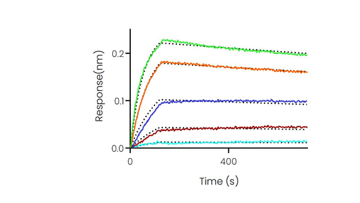Loaded SARS-CoV-2 (2019-nCoV) Spike RBD-mFc Recombinant Protein (Cat: PKSR030500) on AMC Biosensor, can bind Recombinant Human ACE2 Protein , hFc Tag (Cat: PKSH030457) with an affinity constant of 7.34 nM as determined in BLI assay (Sartorius Octet RED384) .