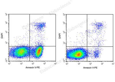 Annexin V-PE/DAPI Apoptosis Kit - ABMIUM