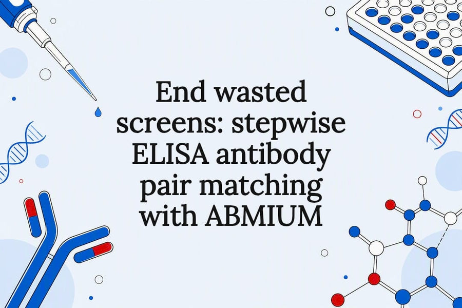 Decorative title card illustration for ELISA antibody pair matching article