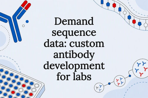 Custom antibody development title card illustration