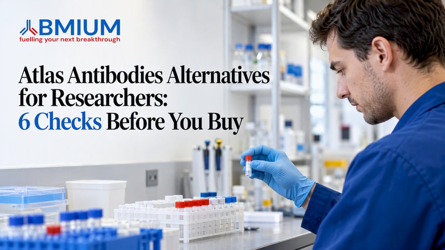 Researcher selecting an antibody reagent vial
