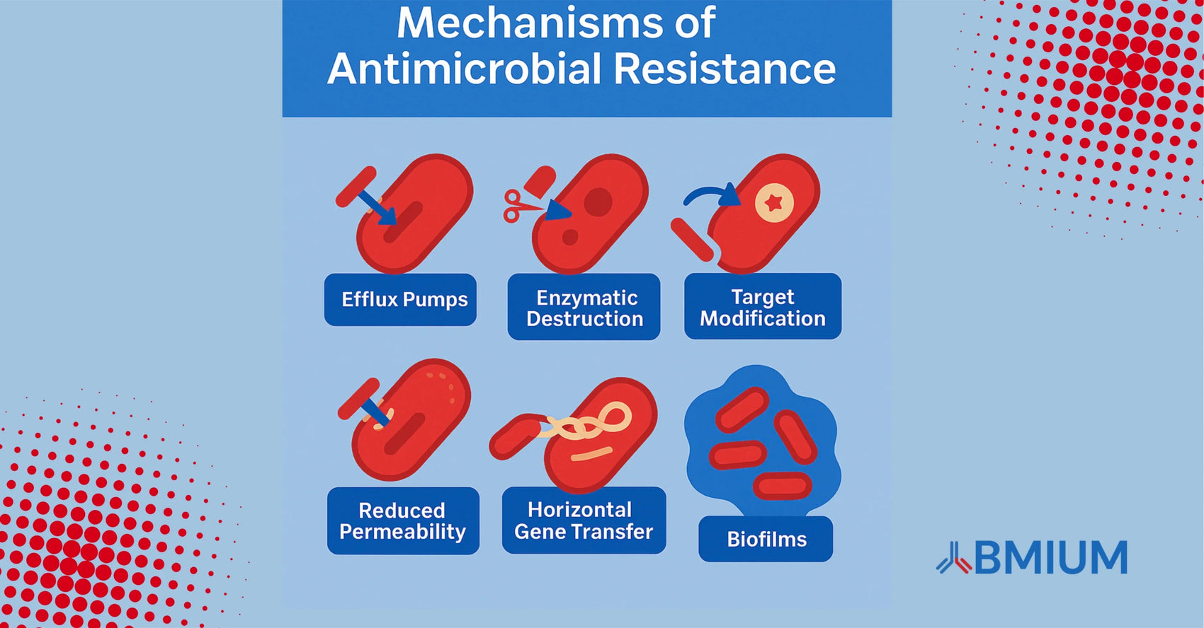 Understanding the Mechanisms of Antimicrobial Resistance: A Global Health Imperative - ABMIUM