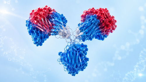 Citations Do not Validate Antibodies, Evidence Does by John Oluwafemi Teibo, PhD