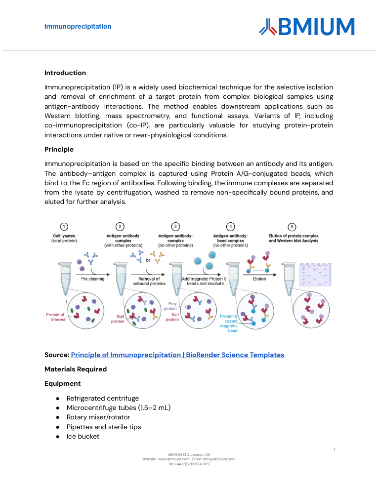 Immunoprecipitation protocol cover