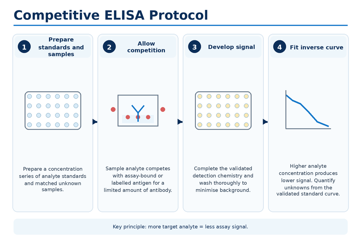 Competitive ELISA protocol workflow